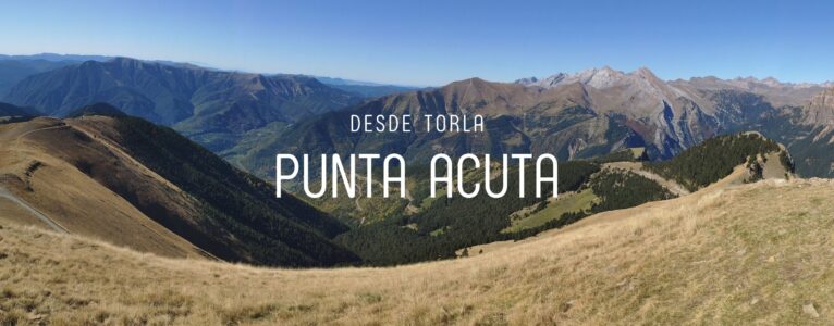 Punta Acuta